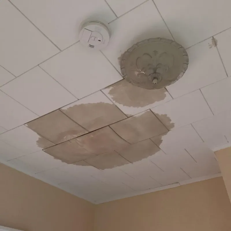 Ceiling Water Damage Repair in Crawford County, PA