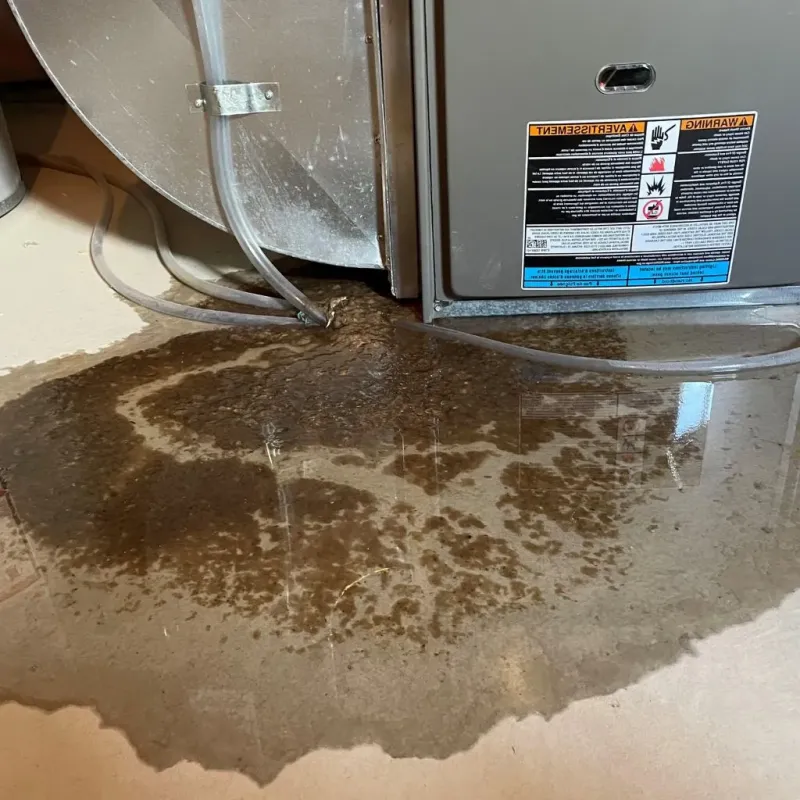Pipe Burst and Leak Restoration in Crawford County, PA