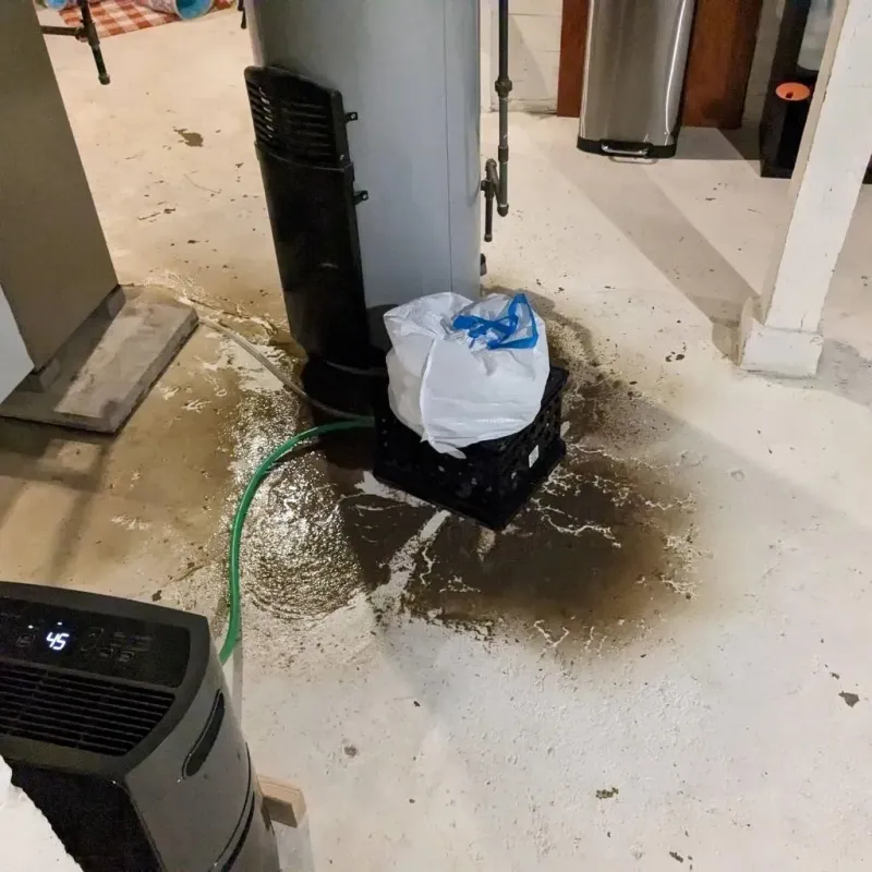 Sewage Backup Cleanup Service in Crawford County, PA